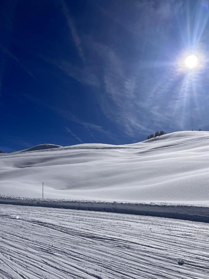 Chalet Cecile Villa Praz-sur-Arly Bagian luar foto