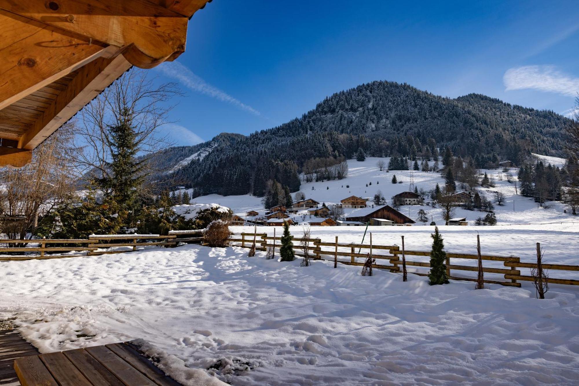 Chalet Cecile Villa Praz-sur-Arly Bagian luar foto